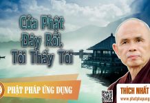 Cửa Phật Đây Rồi, Tôi Thấy Tôi – Thích Nhất Hạnh cua phat day roi toi thay toi th