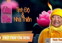 Cửa Vào Tịnh Độ Và Cửa Vào Nhà Thiền – Thích Thanh Từ cua vao tinh do va cua vao nha t