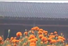 Cùng Nhau Nhắc Nhở Phần 8 – Thích Minh Thành cung nhau nhac nho phan 8 thich