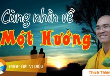 Cùng Nhìn Về Một Hướng – Thích Thiện Tuệ cung nhin ve mot huong thich thi