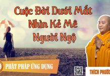 Cuộc Đời Dưới Mắt Nhìn Kẻ Mê Người Ngộ – Thích Phước Tiến cuoc doi duoi mat nhin ke me ngu