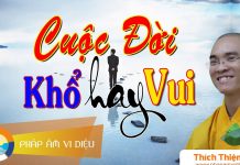 Cuộc Đời Khổ Hay Vui – Thích Thiện Tuệ cuoc doi kho hay vui thich thien