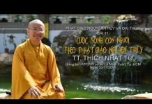 Cuộc Sống Con Người Theo Phật Giáo Nguyên Thủy – Thích Nhật Từ cuoc song con nguoi theo phat gi 1