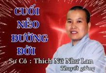 Cuối Nẻo Đường Đời – Thích Nữ Như Lan cuoi neo duong doi thich nu nhu