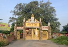 Cương Lĩnh Của Sự Tu Hành – Thích Nữ Như Lan cuong linh cua su tu hanh thich