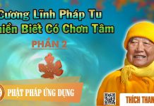 Cương Lĩnh Pháp Tu Thiền Biết Có Chơn Tâm 2/2 – Thích Thanh Từ cuong linh phap tu thien biet co 1
