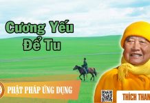 Cương Yếu Để Tu – Thích Thanh Từ cuong yeu de tu thich thanh tu