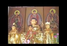 Cửu Phẩm Vãng Sanh – Thích Nữ Như Lan cuu pham vang sanh thich nu nhu