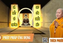 Đã Biết Vô Thường Sao Còn Phiền Não – Thích Phước Tiến da biet vo thuong sao con phien