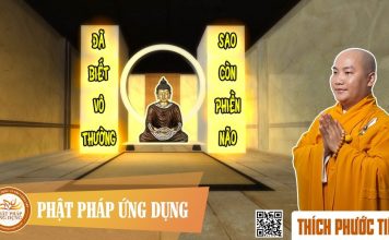 Đã Biết Vô Thường Sao Còn Phiền Não – Thích Phước Tiến da biet vo thuong sao con phien
