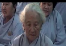 Đại Cương Tịnh Tông – Thích Minh Thành dai cuong tinh tong thich minh t