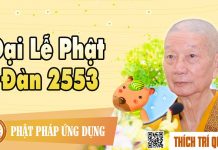 Đại Lễ Phật Đản 2553 – Thích Trí Quảng dai le phat dan 2553 thich tri q
