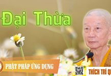 Đại Thừa – Thích Trí Quảng dai thua thich tri quang