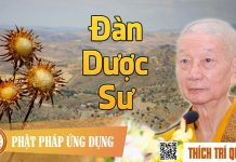 Đàn Dược Sư – Thích Trí Quảng dan duoc su thich tri quang