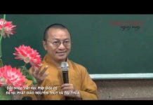 Dẫn Nhập Triết Học Phật Giáo 2 – Phật Giáo Nguyên Thủy và Đại Thừa dan nhap triet hoc phat giao 2 p