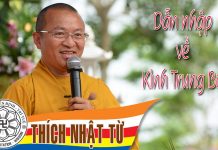 Dẫn nhập về Kinh Trung Bộ (16/05/2004) – Thích Nhật Từ dan nhap ve kinh trung bo 16 05