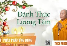 Đánh Thức Lương Tâm – Thích Phước Tiến danh thuc luong tam thich phuoc