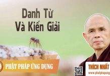 Danh Từ Và Kiến Giải – Thích Nhất Hạnh danh tu va kien giai thich nhat