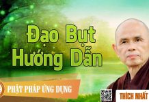 Đạo Bụt Hướng Dẫn – Thích Nhất Hạnh dao but huong dan thich nhat han