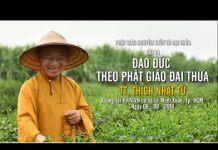Đạo Đức Theo Phật Giáo Đại Thừa – Thích Nhật Từ dao duc theo phat giao dai thua