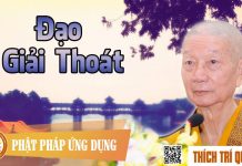 Đạo Giải Thoát – Thích Trí Quảng dao giai thoat thich tri quang