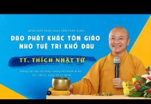 Đạo Phật Khác Tôn Giáo Nhờ Tuệ Tri Khổ Đau – Thích Nhật Từ dao phat khac ton giao nho tue t