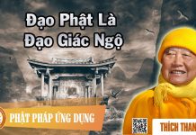 Đạo Phật Là Đạo Giác Ngộ – Thích Thanh Từ dao phat la dao giac ngo thich t