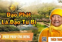 Đạo Phật Là Đạo Từ Bi – Thích Thanh Từ dao phat la dao tu bi thich than
