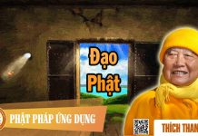 Đạo Phật – Thích Thanh Từ dao phat thich thanh tu 1