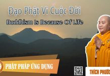 Đạo Phật Vì Cuộc Đời (Buddhism Is Because Of Life) – Thích Phước Tiến dao phat vi cuoc doi buddhism is