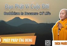 Đạo Phật Vì Cuộc Đời – Thích Phước Tiến dao phat vi cuoc doi thich phuoc