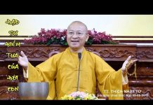 Đạo Sư – Điểm Tựa Của Đời Con – Thích Nhật Từ dao su diem tua cua doi con thic