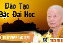 Đào Tạo Bậc Đại Học – Thích Trí Quảng dao tao bac dai hoc thich tri qu