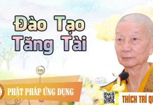 Đào Tạo Tăng Tài – Thích Trí Quảng dao tao tang tai thich tri quang