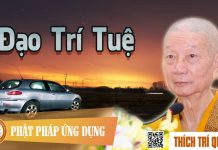 Đạo Trí Tuệ – Thích Trí Quảng dao tri tue thich tri quang