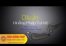Dấu Ấn Hoằng Pháp Tại Mỹ – Thích Chân Tính dau an hoang phap tai my thich c