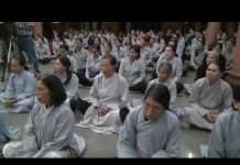 Đau Khổ Vì Vọng Tưởng – Thích Nữ Hương Nhũ dau kho vi vong tuong thich nu h