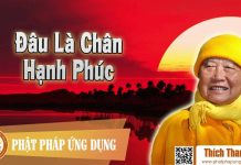 Đâu Là Chân Hạnh Phúc – Thích Thanh Từ dau la chan hanh phuc thich than
