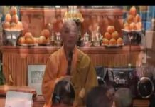 Đâu Là Gốc Đâu Là Ngọn – Thích Minh Thành dau la goc dau la ngon thich min