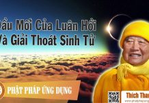 Đầu Mối Của Luân Hồi Và Giải Thoát Sanh Tử – Thích Thanh Từ dau moi cua luan hoi va giai tho