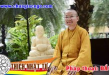 Đầu Năm Đi Chùa – Thích Nhật Từ dau nam di chua thich nhat tu