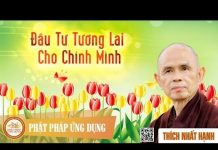 Đầu Tư Tương Lai Cho Chính Mình – Thích Nhất Hạnh dau tu tuong lai cho chinh minh