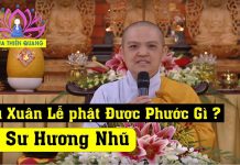 Đầu Xuân Lễ phật Được Phước Gì – Thích Nữ Hương Nhũ dau xuan le phat duoc phuoc gi t