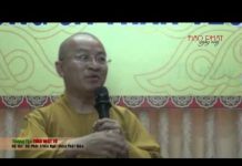 Để Phát Triển Ngôi Chùa Phật Giáo – Thích Nhật Từ de phat trien ngoi chua phat gia