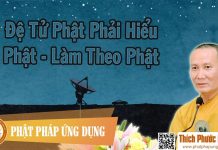 Đệ Tử Phật Phải Hiểu Phật, Làm Theo Phật – Thích Phước Nghiêm 2016 de tu phat phai hieu phat lam th