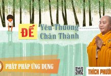 Để Yêu Thương Chân Thành – Thích Phước Tiến de yeu thuong chan thanh thich p