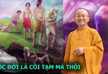 Đến Đi Trong Nhân Gian – Thích Nhật Từ den di trong nhan gian thich nha