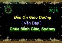Đền Ơn Giáo Dưỡng (Vấn Đáp) – Thích Pháp Hòa den on giao duong van dap thich