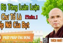 Dị Bộ Tông Luân Luận 01: Chư Tổ Là Tiếp Nối Của Bụt – Thích Nhất Hạnh di bo tong luan luan 01 chu to l