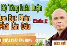 Dị Bộ Tông Luân Luận 02: Đạo Bụt Phân Phái Lần Đầu – Thích Nhất Hạnh di bo tong luan luan 02 dao but